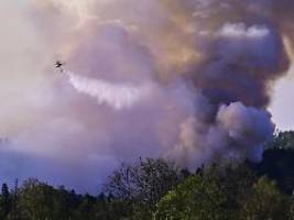 Drei Regionen hoffen auf Regen: Waldbrände beschäftigen hunderte Feuerwehrleute