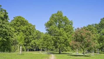 Zeuge hört Schussgeräusche: Polizei sucht Volkspark Hasenheide ab