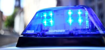 Sachsen-Anhalt: Frau sucht Hund – Selbstschussanlage verletzt sie schwer