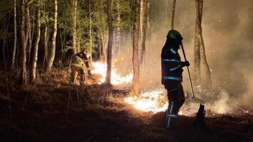 Die Gefahr steigt: Waldbrände immer früher und immer häufiger