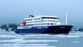 Drei Tote bei Kreuzfahrt-Expedition – was die „Hondius“ mit Hamburg zu tun hat
