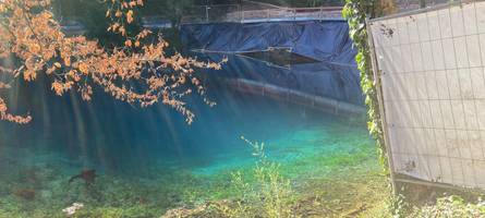 bauzäune, werkzeug und maschinen: arbeiten am blautopf rauben naturerlebnis den zauber