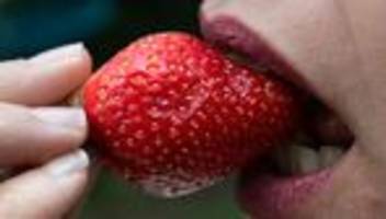 erdbeeren 2026: erdbeersaison beginnt mit krönung der königin