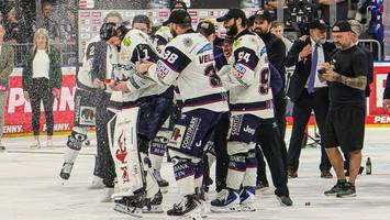 Eisbären: Wie sich der Meister jetzt verändert