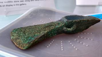 Schimmerte in prächtigem Grün: Mann entdeckt 3000 Jahre alte bronzene Axt auf Spaziergang mit seinem Hund