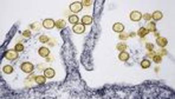 Hantavirus auf der MV Hondius: Wie aus einer Traumreise der Albtraum wurde