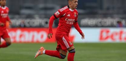 Beleidigung gegen Vinícius Júnior: Fifa weitet Sperre für Gianluca Prestianni auf WM aus