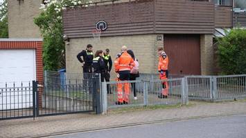 Polizei tötet Hund nach Beißattacke bei Hamburg – zwei Beamte verletzt