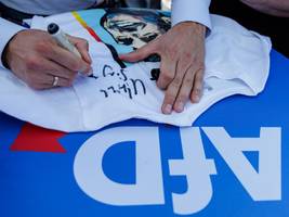 vor landtagswahl: afd erreicht umfragerekord in sachsen-anhalt