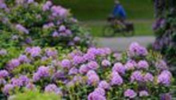 Elbvertiefung: Der tägliche Newsletter aus Hamburg: Sie radeln gern und mögen die Natur? Wir haben da was für Sie.