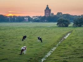 urlaub in deutschland: insel sucht mensch