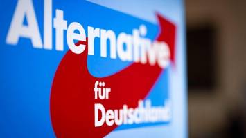 AfD zieht in Sachsen-Anhalt davon: Neue Umfrage offenbart großen Abstand zur CDU
