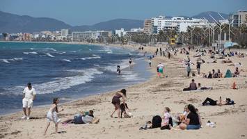 quishing-falle auf mallorca: polizei warnt urlauber vor gefälschten qr-codes