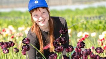 da blüht uns was! regionales blumen-abonnement startet in hamburg