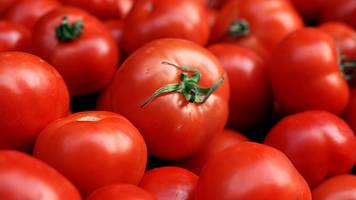 „kein ferrari”: 2 kalifornier verklagen italienische lebensmittelmarke wegen „tomatenbetrugs”