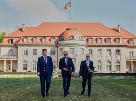 Bundesregierung: Diese Koalition ist ein Geschenk. Für die AfD