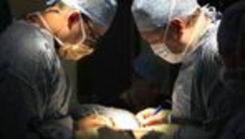 Lebendorganspenden: Lebendorganspenden in Deutschland künftig leichter möglich