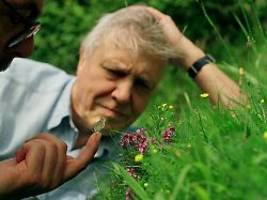 Eine beispiellose Karriere: Happy Birthday, Sir David Attenborough