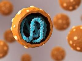 Party wurde Superspreading-Event: Wie auf einen Hantavirus-Ausbruch 2018 in Argentinien reagiert wurde