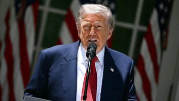 Trump verkündet dreitägige Waffenruhe zwischen Ukraine und Russland