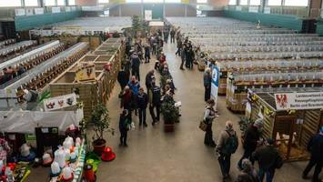 Ausstellungszentrum MAFZ im Havelland: Landkreis soll mit Berliner Verein verhandeln