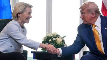 Im Zollstreit macht US-Präsident Trump schon wieder einen Rückzieher