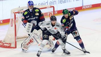 eisbären treffen erste entscheidungen