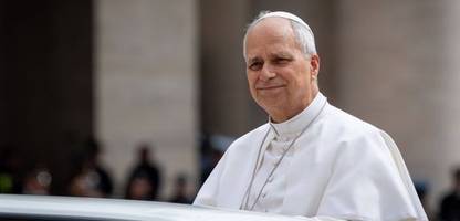 Papst Leo XIV.: Warum er mit seinem MAGA-Bruder Louis nicht über Politik spricht