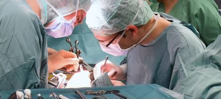 Transplantationsmediziner Sommer: „Im Schnitt sterben jeden Tag drei Menschen, weil es viel zu wenig Organe gibt“