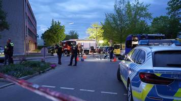 vier asyl-probleme machten mord an jermaine (14) möglich