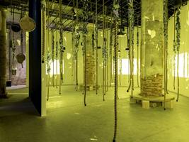 Kunstbiennale in Venedig: Das Gegenteil von Weltflucht