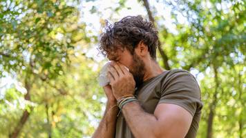 ambrosia breitet sich aus: die aggressiven pollen treffen immer mehr menschen