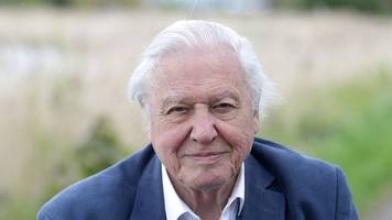 David Attenborough wird 100: Sein Geheimnis sind bewusste Ernährung, Natur und soziale Kontakte