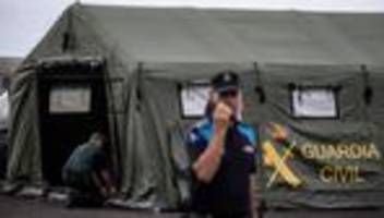 Hantavirus: Argentinien sieht Ursprung von Hantavirus-Ausbruch nicht in Feuerland