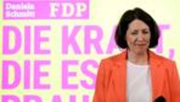 Parteien: Rheinland-pfälzische FDP wählt neue Parteispitze