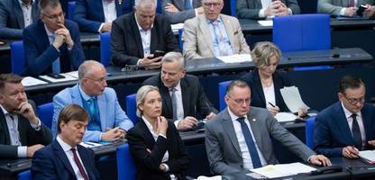 afd: insa-sonntagstrend sieht partei fünf punkte vor der union