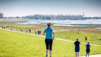 halbmarathon in wedel: diese straßen sind am sonntag gesperrt