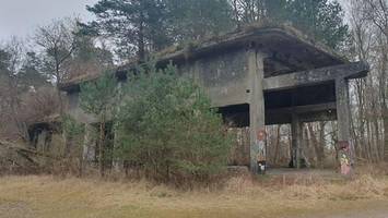ruinen im sogenannten bunkerwald ziehen besucher magisch an