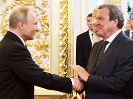 Gerhard Schröder als Vermittler: Klingt da bei Putin etwa Verzweiflung durch?
