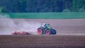 tau und regen helfen: die landwirte blicken gespannt aufs wetter
