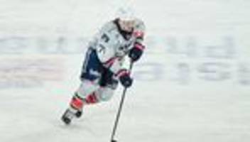 transfers: eishockey-wechsel nach köln: fischbuch wird ein hai
