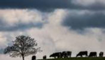 Wetteraussichten: Regen und örtliche Gewitter zum Start in die neue Woche