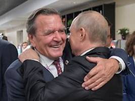 Teil von Moskaus Strategie: Bundesregierung weist Putins Schröder-Vorschlag zurück