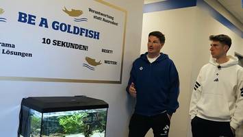 das goldfisch-geheimnis des hsv: verrückte kabinen-geschichte
