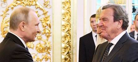 Putin bringt Altkanzler Schröder als Vermittler ins Gespräch