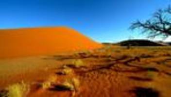 Keine Überlebenden: Vier Deutsche bei Flugzeugabsturz in Namibia getötet