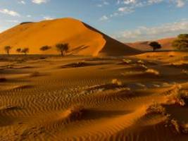 Auch Pilot kommt ums Leben: Drei Deutsche sterben bei Flugzeugabsturz in Namibia