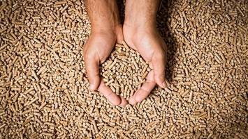 Pelletspreise heute (Montag, 11. Mai): Das kostet aktuell eine Tonne