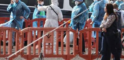 hantavirus: australien ordnet wochenlange quarantäne für »hondius«-passagiere an
