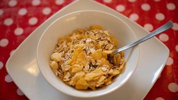 dieser protein-fehler am morgen ist ein unterschätzer dickmacher